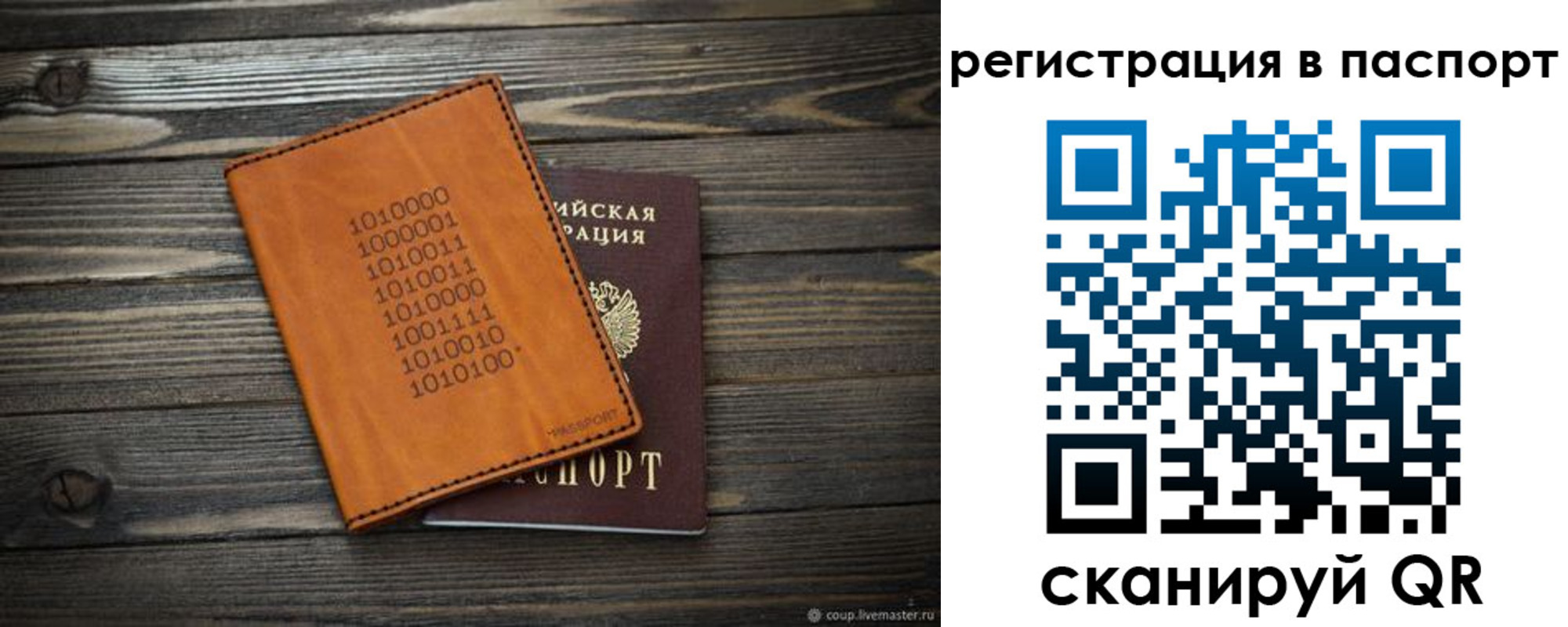 прописка для школы в Струнино